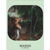 Поводок Seadog Морской шнур (3м, bottle green)