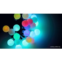 Светодиодная гирлянда Neon-Night LED - шарики 13 мм [303-539]