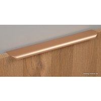 Ручка мебельная Boyard Monte RT110SG.1/224/300