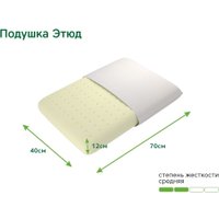 Ортопедическая подушка ЭОС Этюд 70x40x12