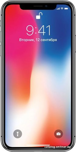 Apple iPhone X 256GB (серый космос)