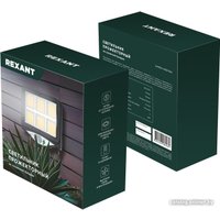 Уличный прожектор Rexant Стрэнд 602-2424