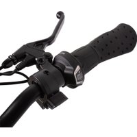 Электровелосипед Ecoliner Hobbit 240W 48V 10.4ah