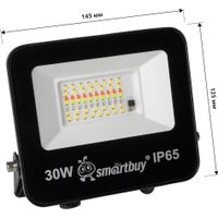 Уличный прожектор SmartBuy SBL-EFLRGB-30