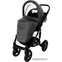 Универсальная коляска Ray Corsa Ecco (2 в 1, 30)