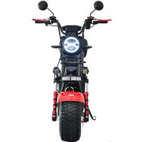 Электроскутер White Siberia CityCoco WS-PRO 2500w 21Ah (с красными брызговиками)