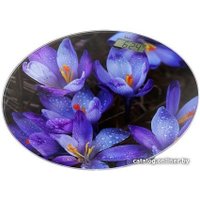 Напольные весы Home Element HE-SC908 (синие крокусы)