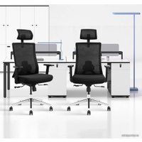 Офисное кресло Evolution Office Master (черный)