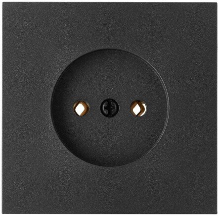 

Розетка Bylectrica РС16-1601 (графит)