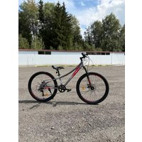 Велосипед Greenland Cruise 24 2025 (серый/красный)