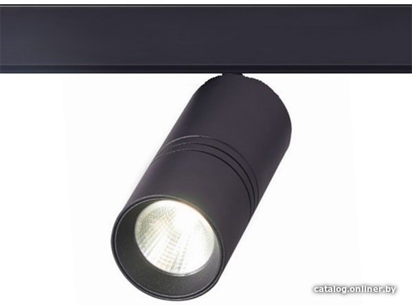 

Трековый светильник ST Luce Lemmi ST365.436.18