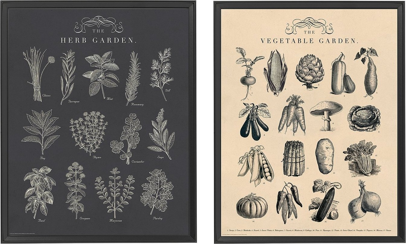 Постер Ikea Knoppang 40465771