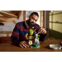 Конструктор LEGO Shrek 72423 Фигурки Шрек, Осел и Кот в сапогах