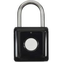 Дверной замок Digma SmartLock P1 (черный)