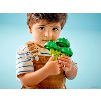 Конструктор LEGO Duplo 10982 Трактор для перевозки овощей и фруктов