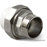 Фитинг Pro Aqua Муфта комбинированная НР 32x1 PA21018G