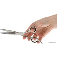 Ножницы Ferplast Gro 5785 Premium 85785899