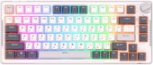 RK-H81 RGB White Night (RK Cyan)