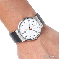 Наручные часы Skagen SKW6024