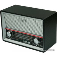Радиоприемник Ritmix RPR-101 (черный)