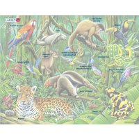 Пазл Larsen Южно-Американские тропики FH10