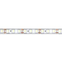 Светодиодная лента SmartBuy SBL-IP65-9-6-6500K