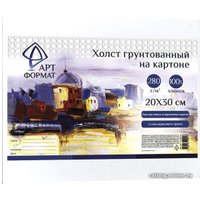 Холст для рисования АртФормат 20x30см AF13-082-02 (картон)