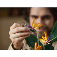 Конструктор LEGO Creator Expert 10289 Райская птица