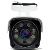 IP-камера Ginzzu HIB-2301S