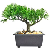 Искусственное растение Sundays Home 6405000739A