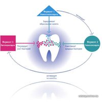 Зубная паста Curaprox Enzycal Zero 75 мл (от 0 лет)