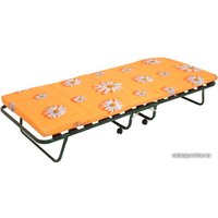 Раскладушка Люксад Виктория 800 КТ-04Л в Гомеле