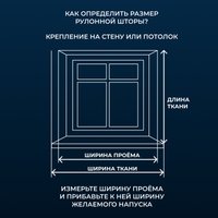 Рулонные шторы Franc Gardiner Blackout Dublin 100x160 7799668 (белый)