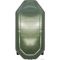 Моторно-гребная лодка Аква-Мастер 260 (зеленый)