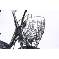 Электровелосипед MyWay Truck 1.0 500 24 (15, темно-зеленый)