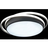 Припотолочная люстра Natali Kovaltseva Led Light 81038/5C