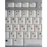 Клавиатура BTC 6300CL