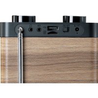 Радиоприемник Lenco PDR-060WD