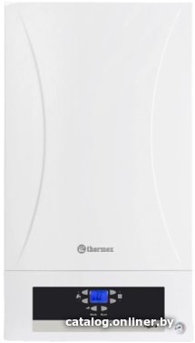 Отопительный котел Thermex Hydra HS 24
