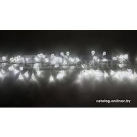 Светодиодная гирлянда Feron 26930