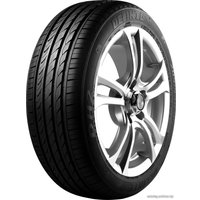 Летние шины Delinte DH2 225/55R18 102W