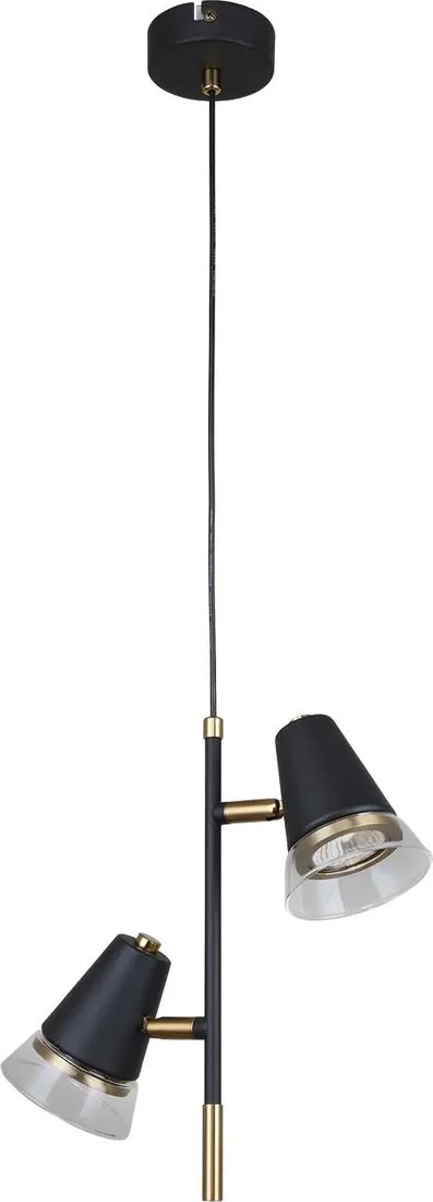 

Подвесная люстра F-Promo Trandy 4618-2P