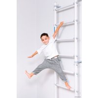 Детский спортивный комплекс Romana S11 6.1.8.12.490.00 в Орше