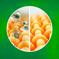 Капсулы для стирки Ariel Все в 1 Pods Color (60 шт)