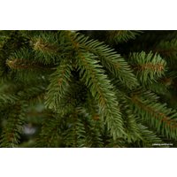 Ель GreenTerra Скандинавская 1.5 м