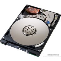Жесткий диск Hitachi Deskstar 7K1000.B 250Гб (HDT721025SLA380)