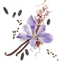 Парфюмерия Mauboussin Star For Men (90мл)