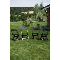 Стул Ipae Progarden Asso ASO88CAN-4 (антрацит)