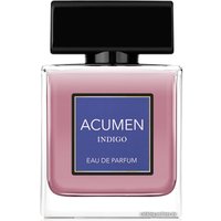 Парфюмерная вода Dilis Parfum Acumen Indigo EdP (100 мл)