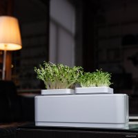 Умный сад iGarden с электронным контролем уровня воды